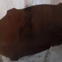 شیشه میز نهار خوری 8نفره