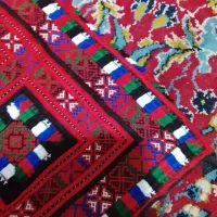 کریشی