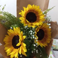 دسته گل تازه کمتر ازنصف