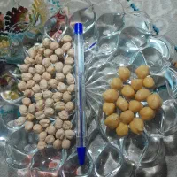 نخود تازه درجه 1