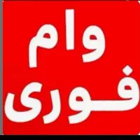 ۴۰۰ میلیون وام فوری  (موسسه ای )