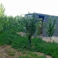 ویلاباغ در گل تپه