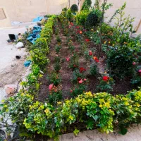 خدمات باغبانی تعویض خاک گلدان طراحی باغچه باغبان