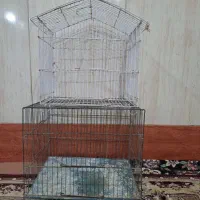قفس سالم