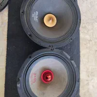 میدرنج دهنه ۸