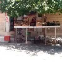 میز|میز و صندلی غذاخوری|شیراز, ماه فیروزان|دیوار