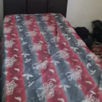 ۲ عدد تخت یکنفره