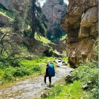 تور یکروزه کنگ