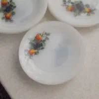 ارکوپال گل میوه