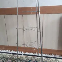 نیازشون ندارم