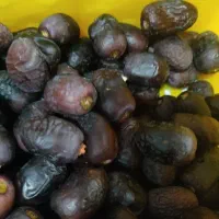 یک صندوق خرمامضافتی