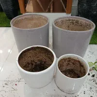 گلدون سفالی