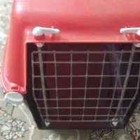 جا گربه