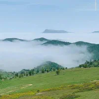 تور۱روزه به جنگل ابر شاهرود