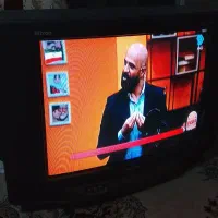 تلویزیون