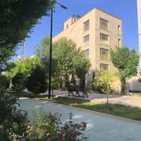 زمین سند تکبرگ خیابان زند