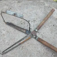 قیچی باغبانی  و چایی چینی