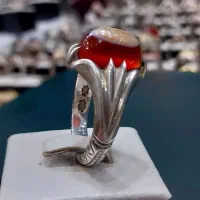 سه پوست کهنه کهنه