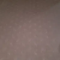 موکت