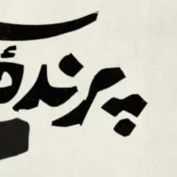 بلیط نمایش پرنده سیاه