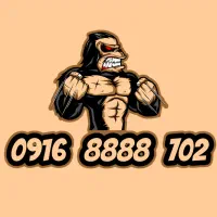 09168888702 خط رند