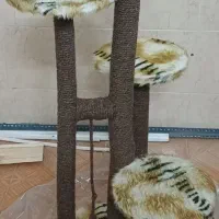 اسکرچر گربه