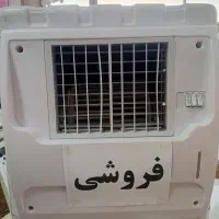کولر آبی