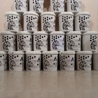 ایزوگام مایع (عایق رطوبتی)