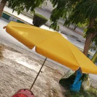 چتری
