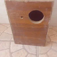 لانه طوطی کوتوله عروس هلندی و...