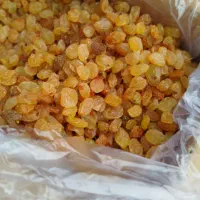 مشاوره و راهنمایی کسب کار اینترنتی میخوام