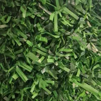 چمن مصنوعی و فنس چمنی