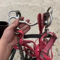 کله گیر و زین اسب کاملا نو وسالم