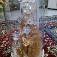 کاسه نبات در حد نو سالم