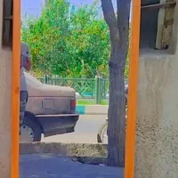آیینه|آینه|تهران, دکتر هوشیار|دیوار