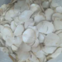 موسیرکوهی پلاک صادراتی