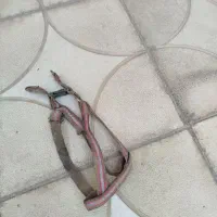 قلاده کتفی