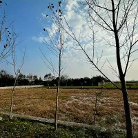 زمین سرمایه گذاری آینده دار *اقساطی بخر*بساز