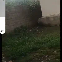 خانه ویلایی