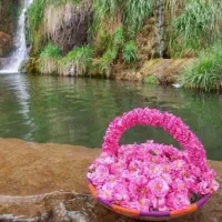 تور خانوادگی گلاب گیری کاشان