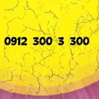 300 3 300 0912