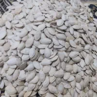 تخم کدو|خوردنی و آشامیدنی|پارسآباد, |دیوار