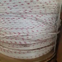 طناب خارجی