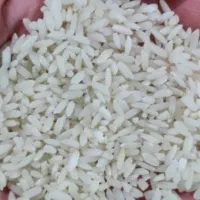 برنج چمپای سدکارون۴  سرخون