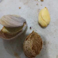 فروش بادام پوست کاغذی دوقلو