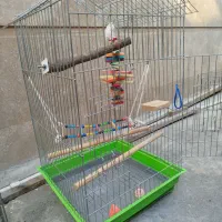 قفس پرنده