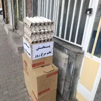 پخش تخم مرغ روز بقیمت مرغداری