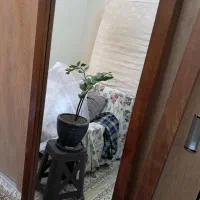 اینه ایستاده چوبی با پایه چوبی