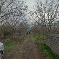 گلمکان/ زمین باغی/ اجاره سالانه