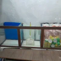 آکواریوم ،پمپ هوا،تنگ ماهی ،خاک ژله